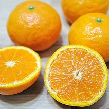당도높은 제주 서귀포 감귤 카라향 귤로향 5kg