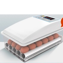 병아리부화기 자동병아리부화기 달걀부화기 계란부화기, 전자동 단일 전원 16개