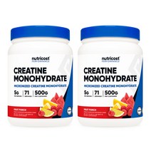 크레아틴 모노하이드레이트 파우더 500g 프룻 펀치맛 2병, 2개, 단품, 단품