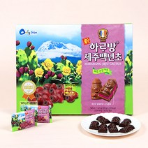 제주사월 코롬방제과 신하르방 백년초 초콜릿 46개입 대용량초콜릿 사무실간식 제주도 여행선물 기념품샵, 1box