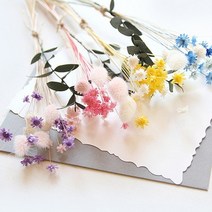 바보사랑 스타플라워와 허니테일미니다발.더봄, 핑크