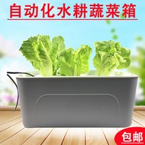 가정용 식물재배기 수경재배기 식물 재배기 수배상추 수배채소 재배탱크 흙없는 재배설비 가정 베란다 채소기실, 옵션03, 크다