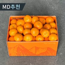 [당도보장] 달농 제주 카라향 고당도 하우스 햇 카라향 선물용 가정용, 제주 햇 카라향 5kg 로얄중과(27~38과내외)