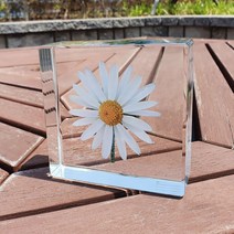 데이지 3D 입체 액자 오브젝트 금전운 인테리어 명화 집순이 취미