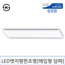 LED 엣지평판조명 1200X300 [매입형 담파](DY-114), 50W 5700K주광색 KS