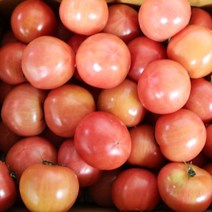 완숙 토마토 5kg (쥬스용) 4-5번, 단품