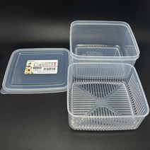 프리미엄 채반 채망 밀폐용기 T 1.1L 신선 보관 용량 눈금 표시 일제 다용도 수납함 냉장고 정리