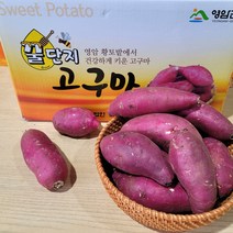 영암명품 소담농원 꿀단지 황금꿀고구마 3 5 10kg 베니하루까, 꿀단지황금꿀고구마3kg 로얄사이즈