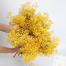 프리저브드플라워 프리저보드플라워박스 디퓨저 돔 미니 재료 120g450g 보존 꽃 자연, 노란색, 450g