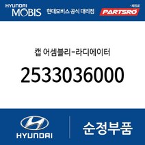 캡 어셈블리-라디에이터 (2533036000) 테라칸 갤로퍼