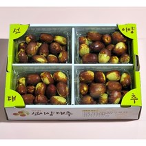[산지에서바로] 고당도 사과대추 제철 대왕대추 생대추, 품질보증 (특) 사과대추 1kg, 1개