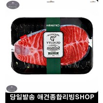 집냥이 아기고양이키우기 고양이놀아주기 캣닢미트인형 애묘용품 새끼고양이키우기, 1개