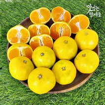 제주 서귀포 하우스귤 감귤 제주도 귤 밀감 3 5 10kg, 1박스, 2kg 프리미엄과(S)