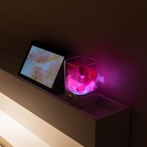 디퓨저 무드등 감성 혼자만의 공간 굿나잇 일상공간 나만의 감성친구 오로라, 화이트, 티트리