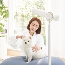 강아지드라이기 애견 펫드라이, 단품