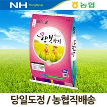 농협 2021년 행복찾기 20kg 당일도정 농협쌀, 1개