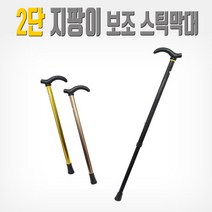 효도지팡이(2단) 노인 실버 시니어 보행보조 패션 요양 지팡이 선물용, 1개, 03_골드