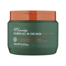 ATS 퍼스티지 카미시 올인원 헤어 마스크 500ml +사은품