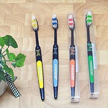 독일 블랙 퓨로덴트칫솔/가정용칫솔/여행용칫솔/소프트칫솔/부드러운칫솔(GD0638), 옐로우