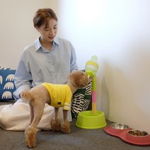 강아지물통 스탠드 높이조절 물병애견급수기 7종, 1개, 인디핑크