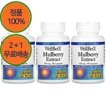 2+1 네추럴팩터스 뽕나무 추출물 100mg 90캡슐