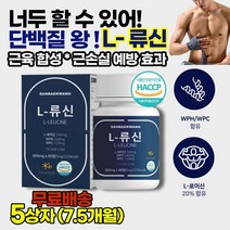 류신타블렛 류신캡슐 근육생성영양제 근육합성에 도움을 주는 단백질 보조제 분리유청단백질 WPC WPH 바디프로필 보디빌더 대회입문용 몸만들기 단백질보충제 벌크업 체력향상 효과 추천, 5상자(7.5개월)