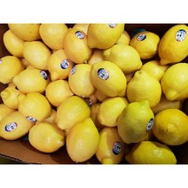 더노랑 미국썬키스트 레몬 20과 2.4kg/40과 4.8kg, 레몬(썬키스트)20알