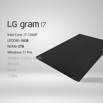 LG전자 2022 그램17(12세대) 17ZD90Q-GX7BK [프리미엄 패키지] + 사은품 증정 * 화이트색상으로출고됩니다, Win11 Pro, 16GB, 2TB