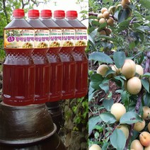 하동 매실원액 지리산산골 3년숙성 토종 황매실원액 1800ml 매실청 매실액기스 매실액, 5개