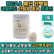 네덜란드 산양유 초유 단백질 프로테인 헬스 보충제 쉐이크 BCAA 류신 로이신 루신 남자 여자 여성 추천 프로틴 가루 파우더 분말 동물성 식물성 혼합 운동 후 마시는 음료 드링크