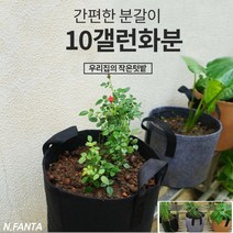 부직포 화분 식물 블루베리 키우기 10갤런 40x30 고구마 감자 블루베리 모종 키우기 베란다 텃밭 흙 담기 화분, 3화분10갤런-브라운