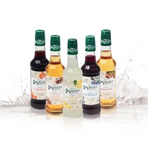 비갈레 비갈레미니 홈카페시럽 5종 350ML, 5개, 레몬 (CITRON JINOT)