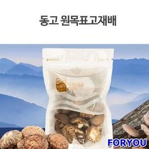 ForU199 빼어날수 원목표고 동고버섯 버섯말린것 마른버섯 석이버섯 표고버섯 버섯, 상세페이지 참조