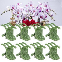 식물 고추 기둥 지지대 20-50pcs 5-claw 육군 녹색 phalaenopsis 난초 식물 클립 꽃 지원 줄기를 등반하기위한 조정 가능한 클램프 스테이크에 고정, 30개