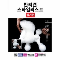 반려견 스타일리스트 실기편, 상품명