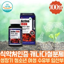 프리미엄 약 100일분 캐나다 철분제 필수 영양소 여성 푸마르산 제일철 산소운반 철분 영양제 100캡슐 헴철 햄철 식약처인증 Fe 30대 40대 임산부 온가족 수유부 임신 초기 중기