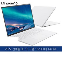 LG전자 2022 그램, 256GB, 16ZD90Q-GX56K, 스노우화이트, 코어i5, 16GB, WIN11 Home