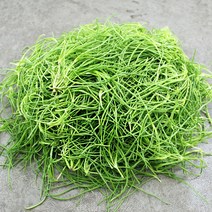 채선 해풍맞아 짭짤한 세발나물, 1팩, 500g