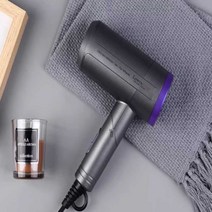 Lowra rouge 헤어드라이기 추천 미용실 가정용 여행용 드라이어, 철모래 재