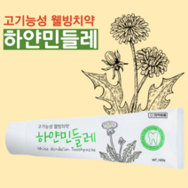 고기능성 하얀 흰 민들레 치약 프로폴리스 자이리톨 하얀민들레 구내염 기능성 잇몸 치아 미백 잇몸에 좋은 천연 성분 구내염 불소없는 웰빙치약, 1개