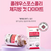 콜레우스포스콜리 감량촉진제 내장지방제거 체지방 식욕억제 탄수화물억제제 내장지방 약 1개월