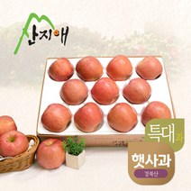 산지애 [2023햇사과] 알뜰 못난이사과(대과) 4kg 1box, 단품없음
