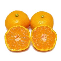 [제주의맛] 맛있는 제철 감귤 산지직송! 품질보장!, 소과(2S~S) 3kg