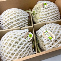 [농협인증] 머스크 메론 멜론 로얄과 프리미엄 선물 세트 8kg, 1세트, 중과 8kg (5~6수)
