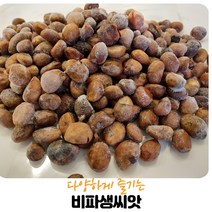 (영만수산)완도산 비파생 씨앗1KG, 1개