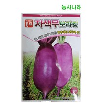 자색무보라킹 100립 보라색무씨앗 안토시아닌
