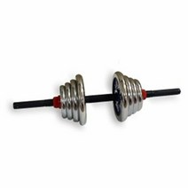 브랜드없음 [헬스라인] 도금조립아령 총22kg (11kg × 2개), 단품없음, 선택완료