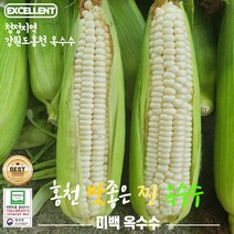 산지직송 강원도 홍천 특산물 찰 찐 삶은 옥수수 미백 찰옥수수 찐옥수수 홍천옥수수 아이들간식 강원도옥수수, 300g, 20개