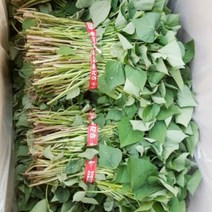맛있는 농장 호박고구마 모종 20kg, 5월 31일 도착