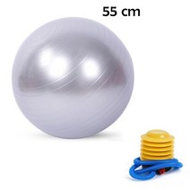 강아지짐볼 펌프가있는 556575cm 스포츠 요가 공 필라테스 피트니스 체육관 균형 fitball 요가 운동을위한 안티 버스트 두꺼운 마사지 공, [07] 55cm silver